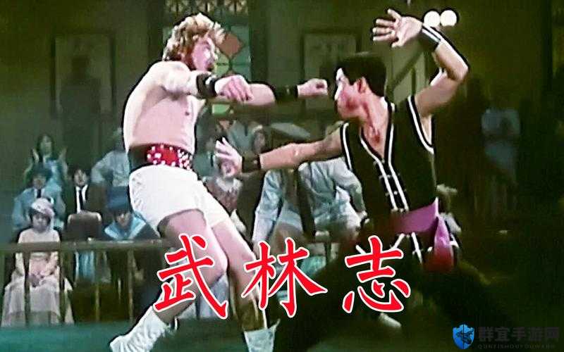 武林志切磋秘籍，邀请好友共赴武学盛宴