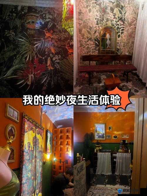 日韩 www.色好看 带来别样视觉盛宴与独特体验