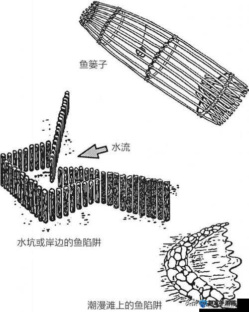 物质世界怎么捕鱼，捕鱼方法详细介绍