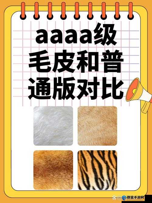 AAAA 级毛皮和 AAAA 的区别：你需要了解的关键信息