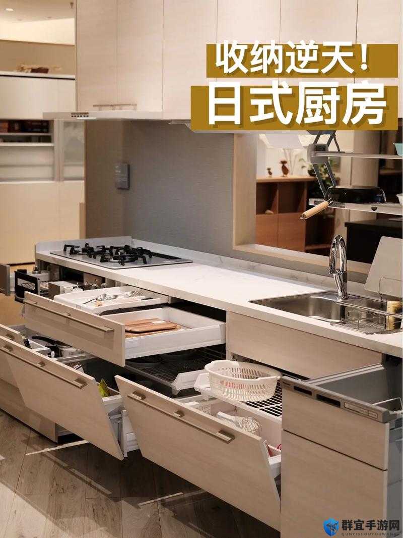 日本熟妇厨房与子欢的别样精彩生活故事