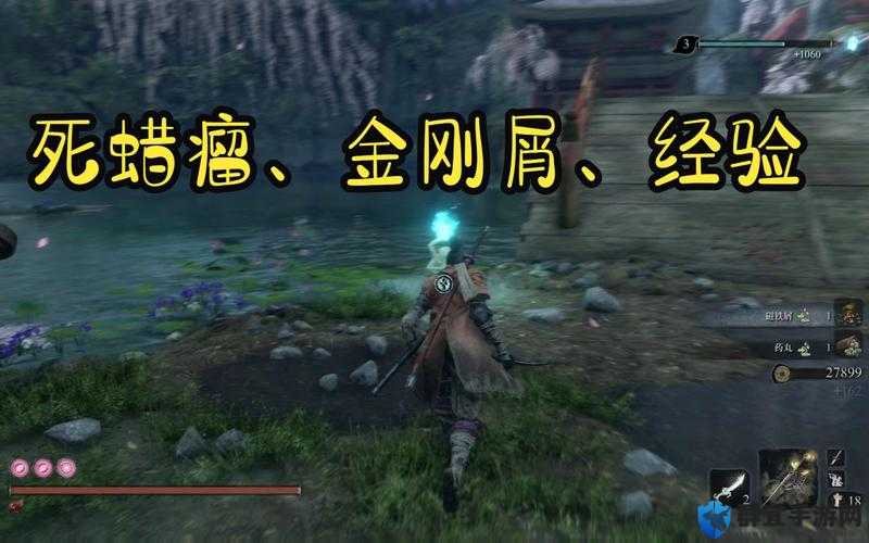 只狼死蜡瘤怎么获得？材料死蜡瘤刷取位置推荐