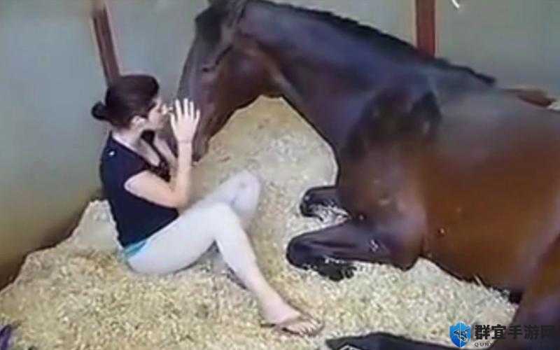 真实记录：欧美人与兽大香蕉的那些事