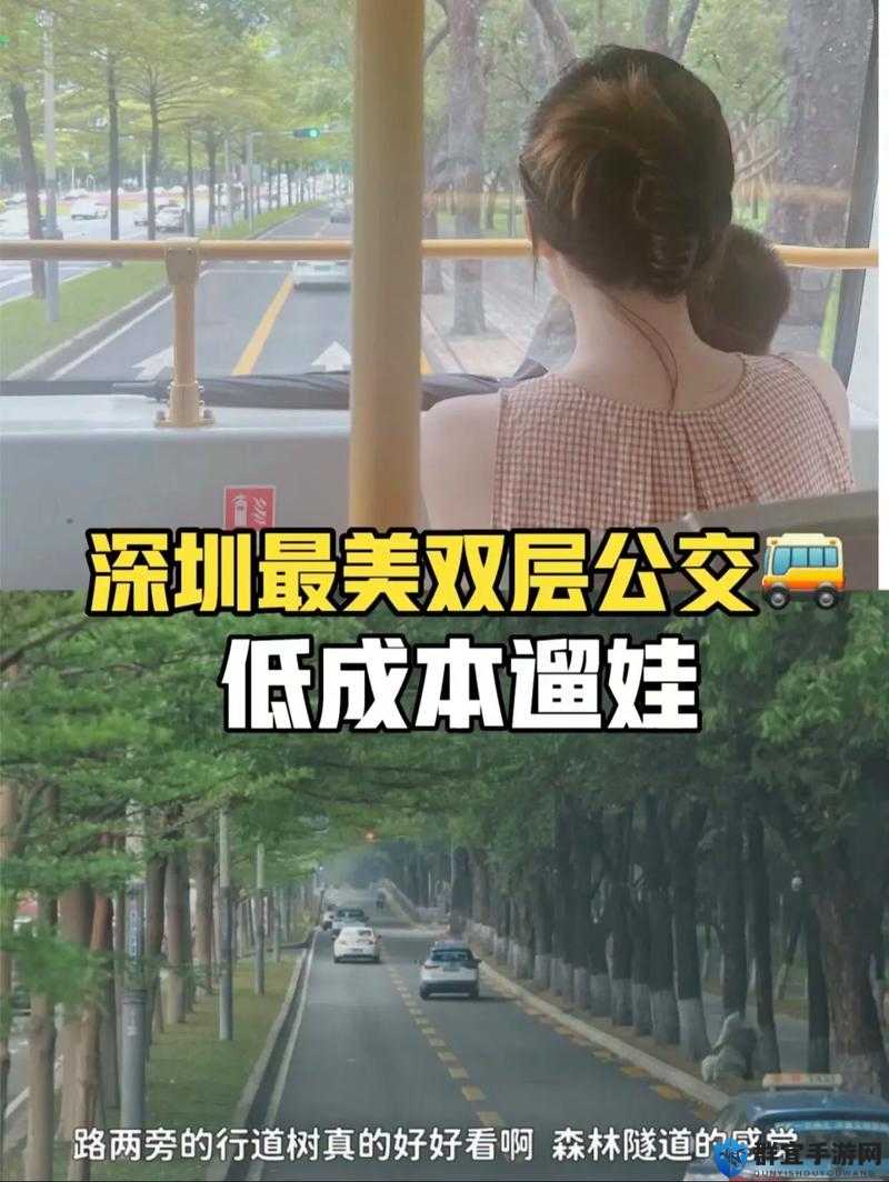 坐公交：在城市中穿梭感受不一样的风景和故事