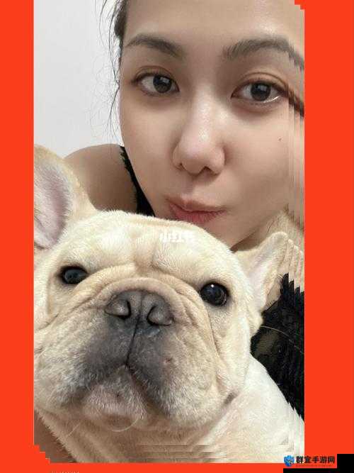 ZoomDog 视频拍摄地点：探寻背后的故事与独特魅力