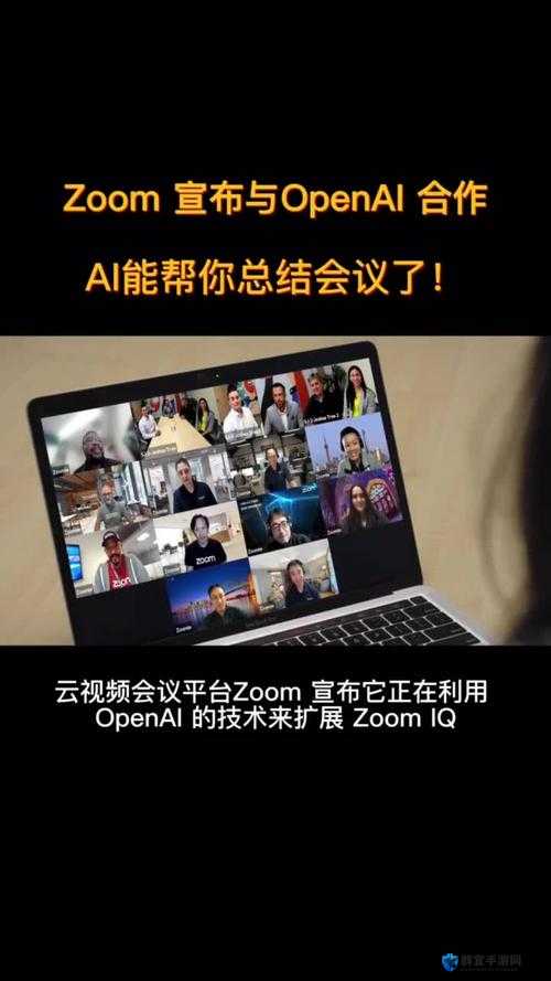 国内 Zoom 人:超越时空的交流与合作