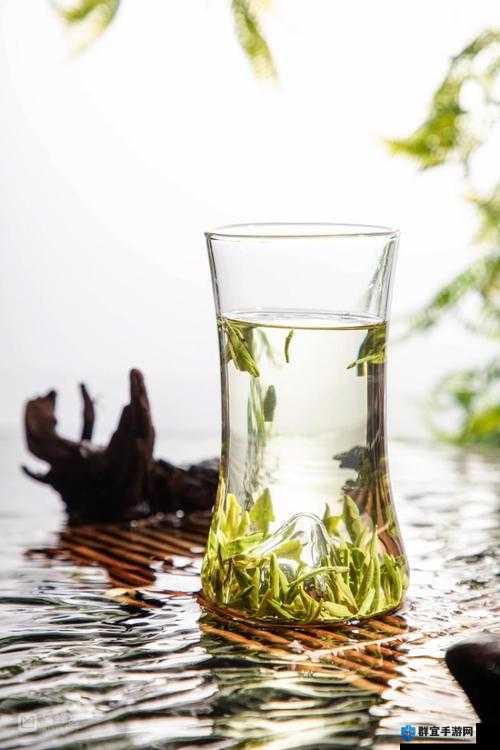 三亚新茶嫩茶 wx ：带来清新雅致的茶饮体验