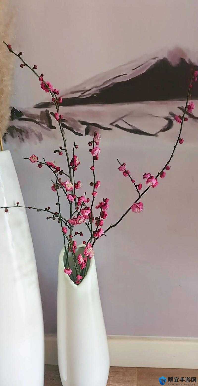 拍金花瓶梅花 2：是真做吗？——探究背后的真相