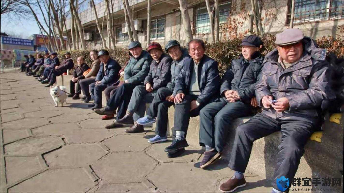 老头老太太那独特的 GMBGMBGM 之声引发的奇妙故事
