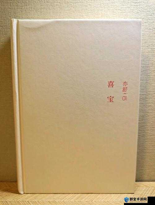 喜宝坐公交 TXT：关于喜宝坐公交的故事解析