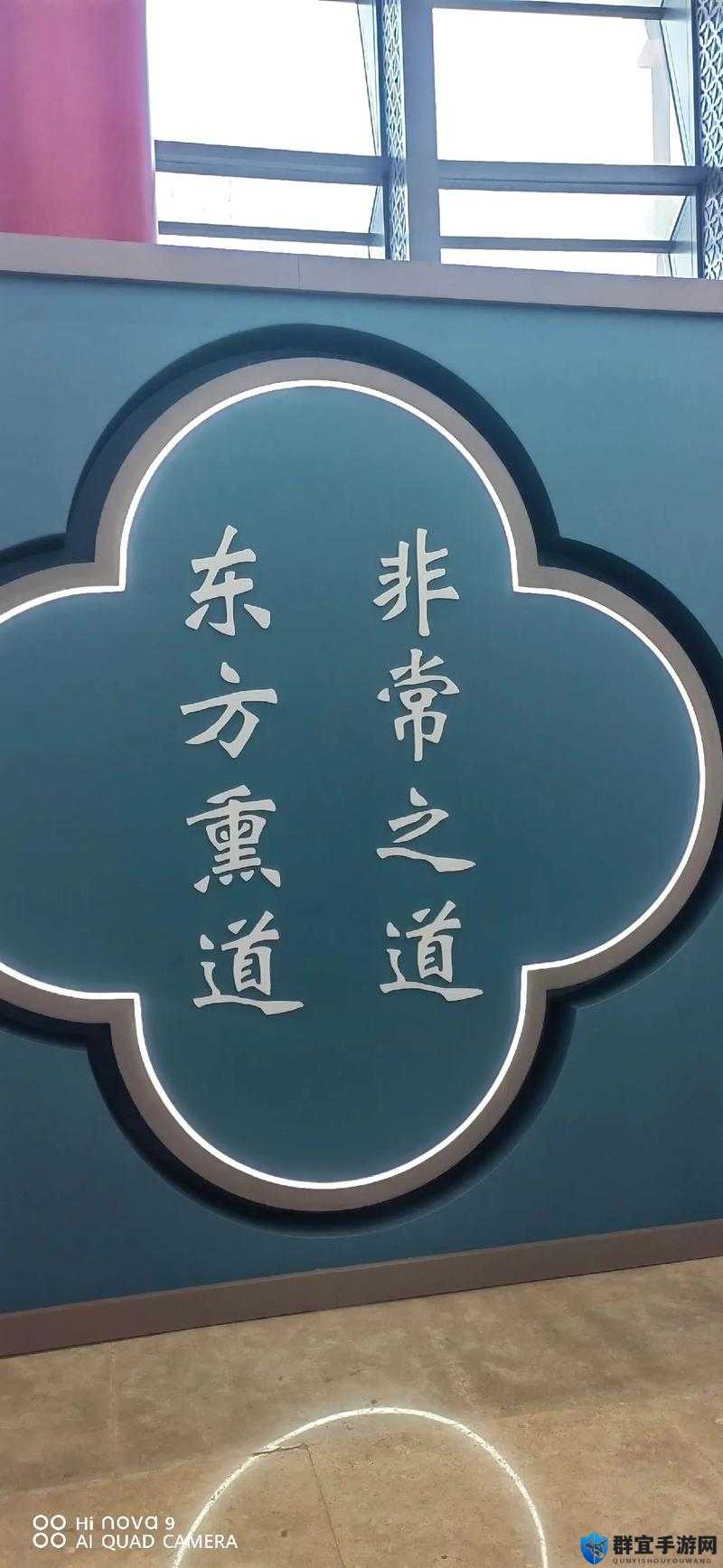 秘精益气:探寻传统养生智慧 实现身心和谐之道