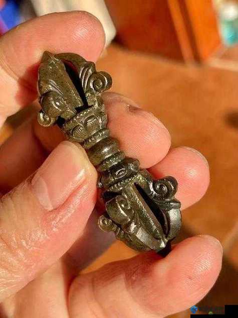 肉莲花吸入金刚杵：古老神秘的独特修行法门探秘