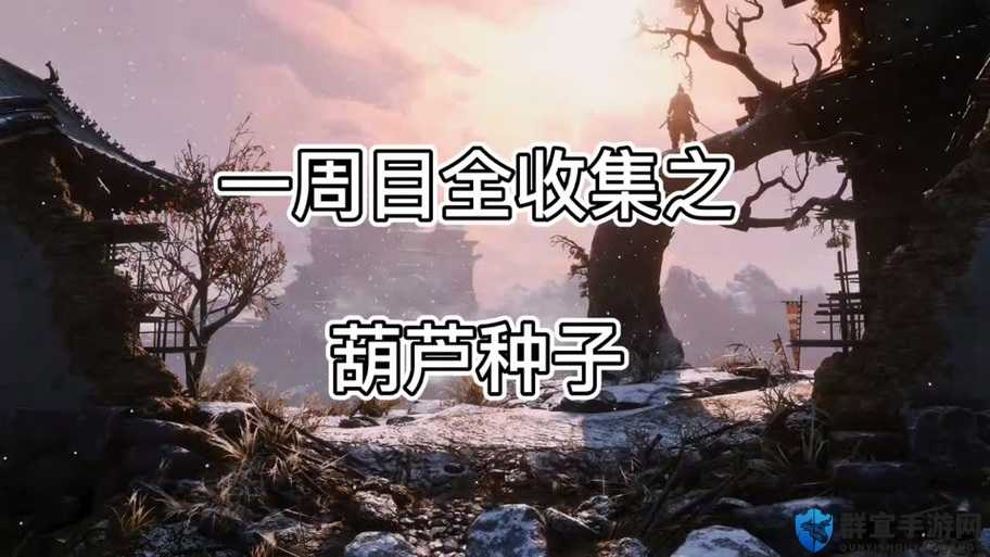 只狼葫芦种子有什么用？种子作用介绍