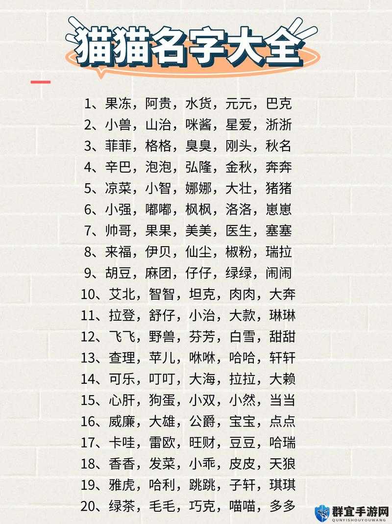 猫咪视频最新地域网名怎么取之详细解读与取名技巧分享