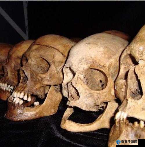 死人之国恶魔头骨获取全攻略