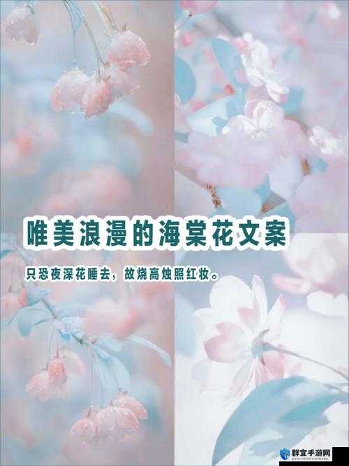 用风月海棠 001 打造一场浪漫的海棠花之旅