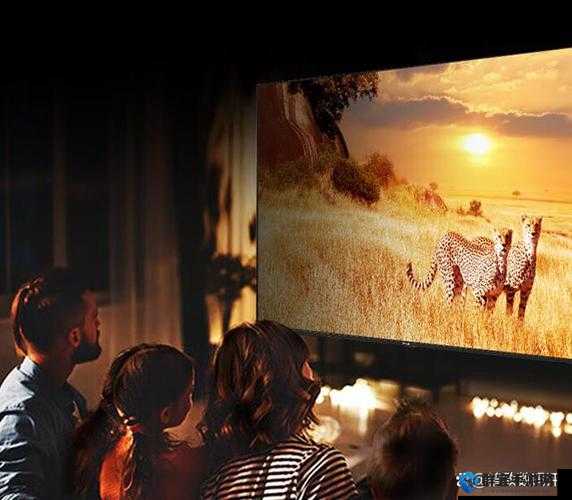 星空传媒有限公司电视剧在线观看——畅享优质剧集盛宴