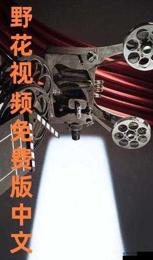 野花视频中文免费观看 3 ：精彩内容不容错过