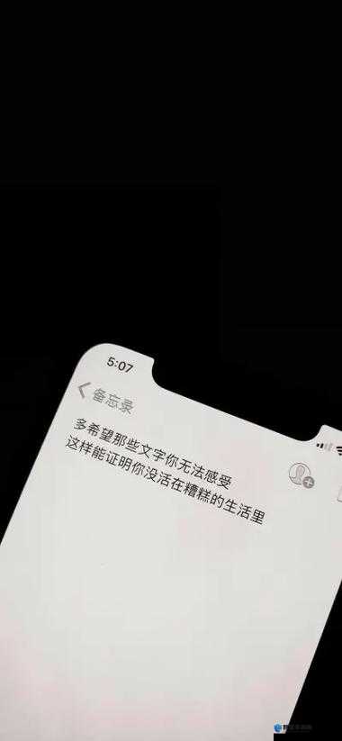 年下时也 1lh ：一场跨越年龄的别样情感之旅