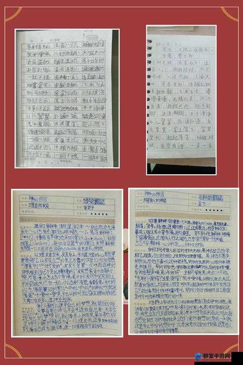 存活的方法是挨 cnp 免费阅读：探寻别样精彩