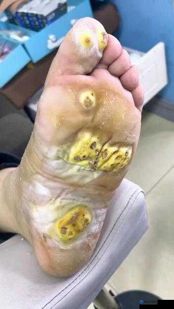 用刷子轻柔刷女生脚底心羽毛的独特体验