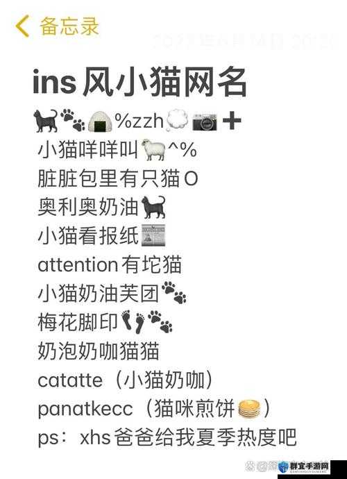 猫咪 MV 最新地域网名怎么改:探索独特创意与个性化转变