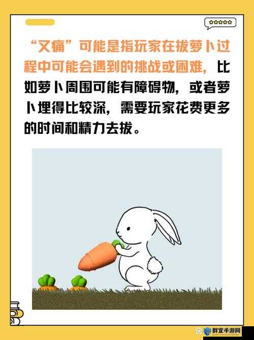 拔萝卜痛又降黄 9.1：一场奇妙的经历与感悟