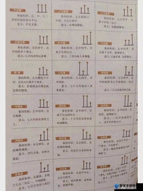 大香煮 2024 一人一煮详细使用方法及步骤说明