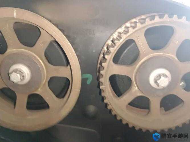 性别自由凸轮与凸轮图片：探索未知的机械奥秘