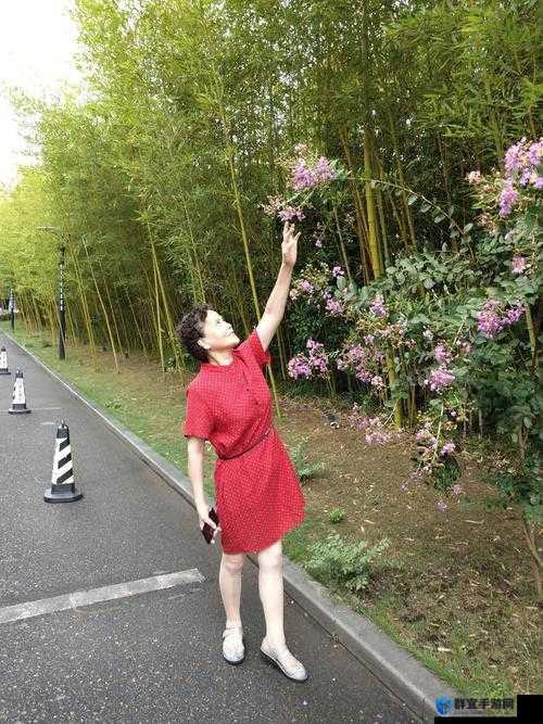 乌克兰精品摘花行为处处引发争议与反思