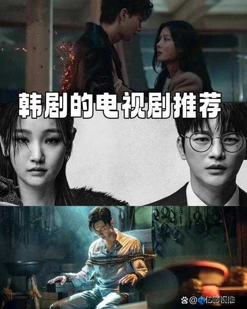 最好看免费观看高清视频韩剧之精彩剧集大盘点