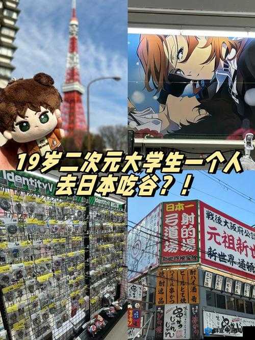 19 岁 macbookpro 日本：青春与科技的奇妙交融之旅