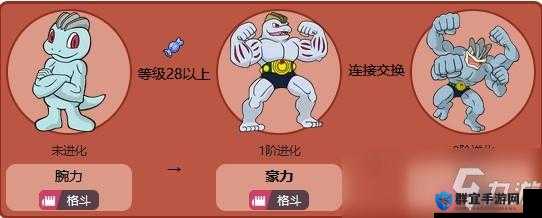 精灵宝可梦LetsGo豪力进化方法全解析