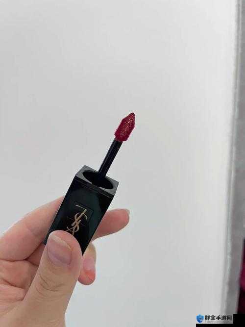 ysl 千色 t9t9t9 观看范围：一场关于时尚与美的视觉盛宴
