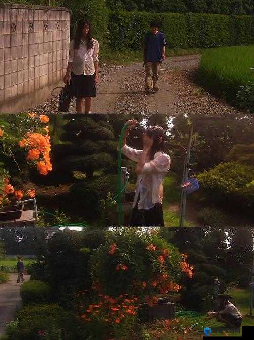 关于 ass 女人下部的独特欣赏视角与解读