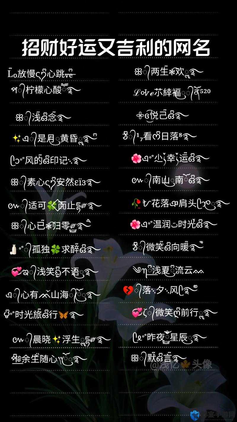YW52777 最新网名之关于它的详细介绍与分析