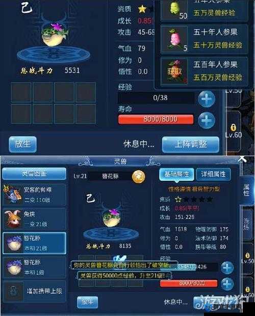 倩女幽魂灵兽技能书:详细解读与获取攻略及使用技巧介绍