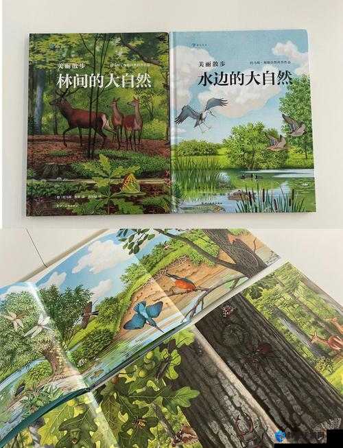 九一插插插:探索未知的奥秘