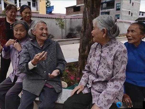 农村老太性的完整性与迷失