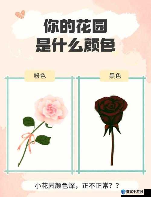 怎么自我安抚小花园:探寻自我安抚小花园的有效方法与技巧