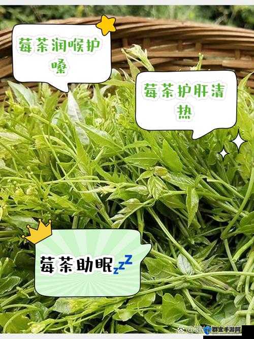 仙踪林 COMPANY LIMITED:探索绿色茶饮的奥秘