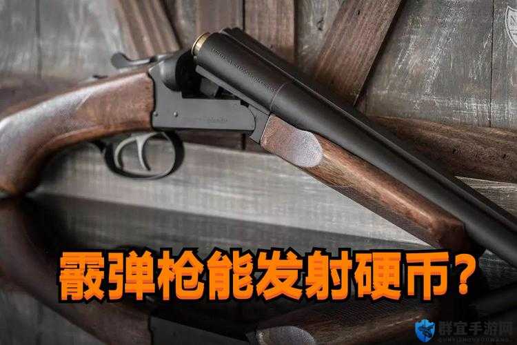 生化危机2重制版M79霰弹戗怎么样？配件及威力介绍