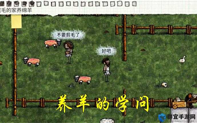 一小时人生，养羊技巧全面解析