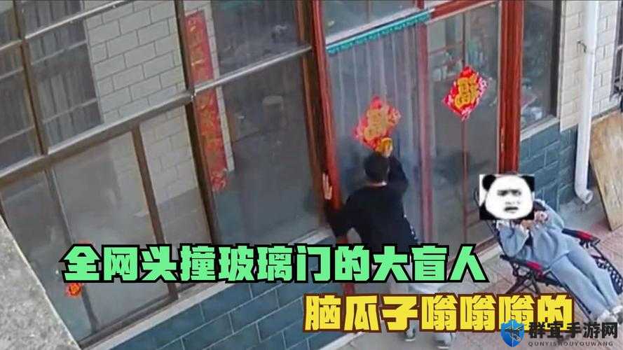 9 分 10 秒头撞玻璃：这究竟是怎样的一种行为和现象