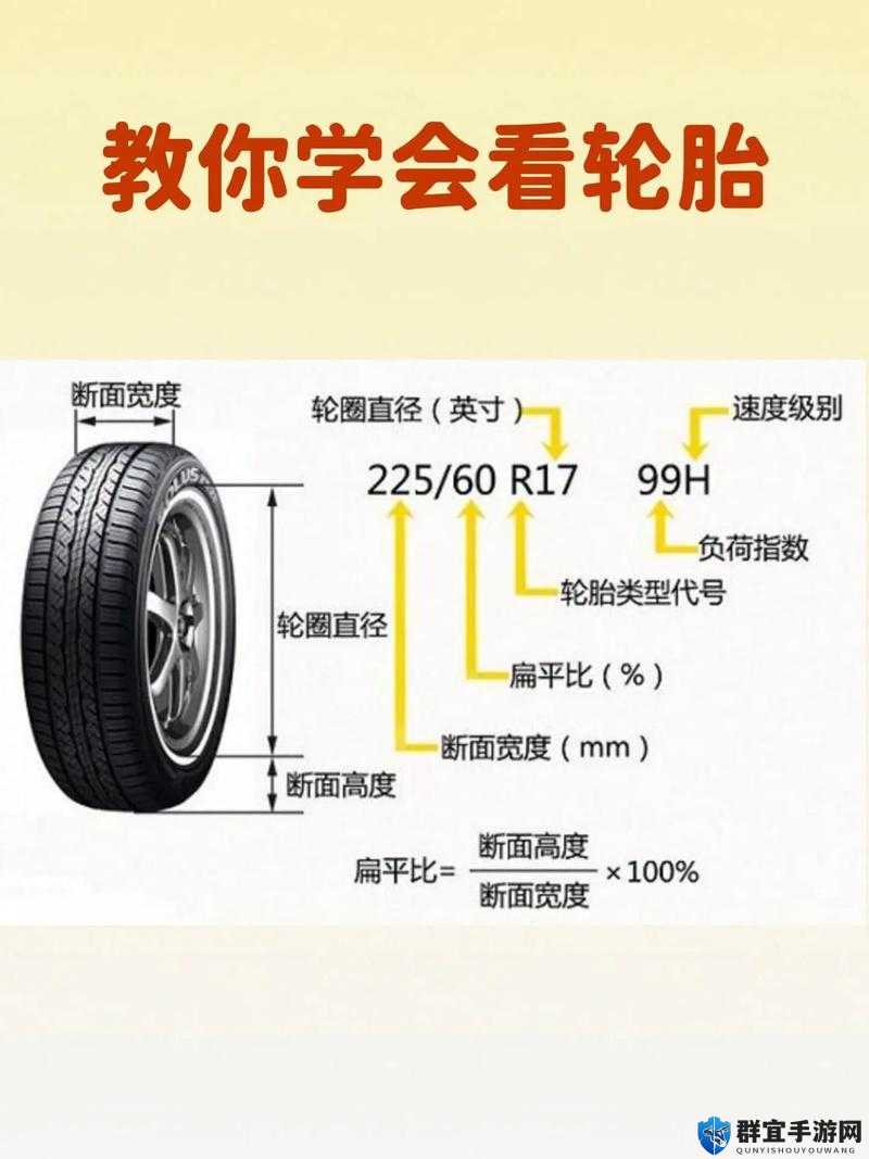 wheeltpe 孕妇轮该如何选择：从品牌材质到功能尺寸全方位解析