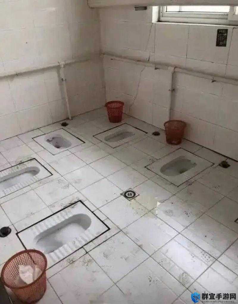 ：罕见厕所内近距离拍摄的真实场景
