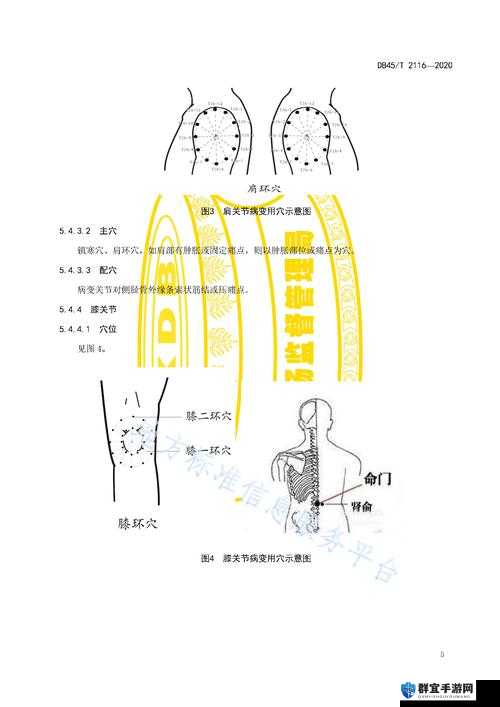 穴医她想逃从古至今的医术传承：探索神秘医道的千年脉络