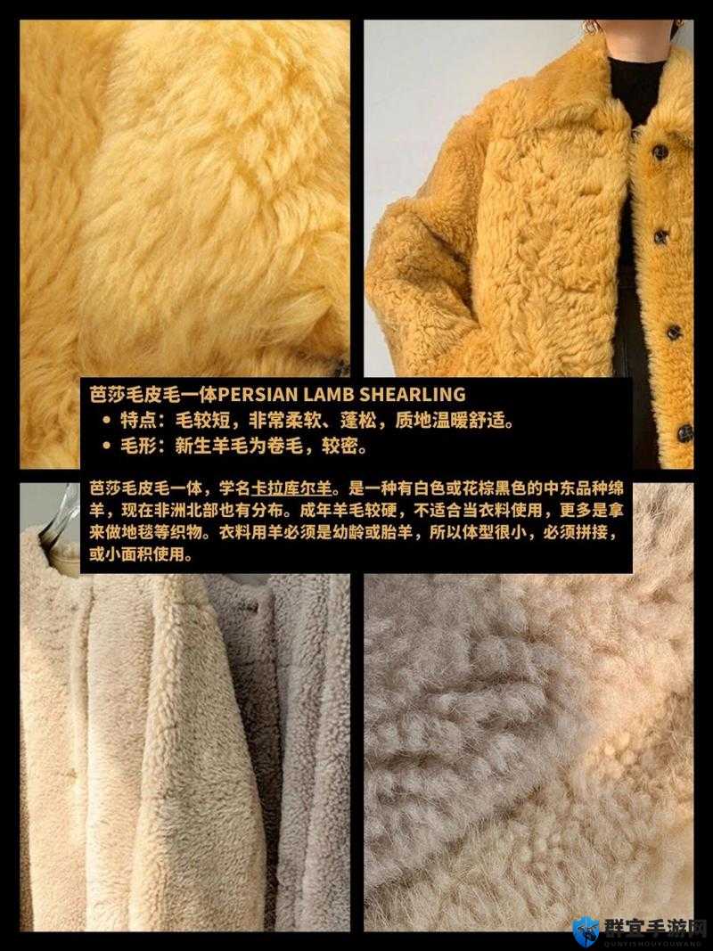 AAAA 级毛皮最火的一句网上疯传评价：这毛皮品质真的绝了