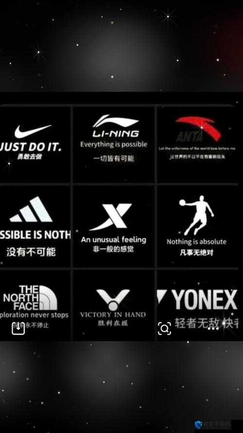 成品网站 NIKE 源码 1688 免费：探寻其背后的技术奥秘与价值