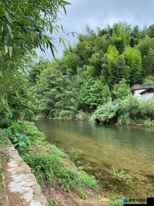 桃花洞口溪水潺潺，那是怎样的清幽景致呀